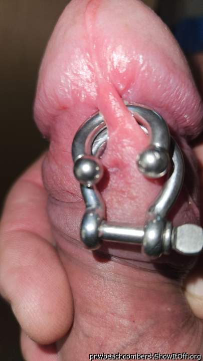Pierced cock
