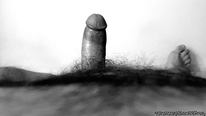 Adult image from calientearg