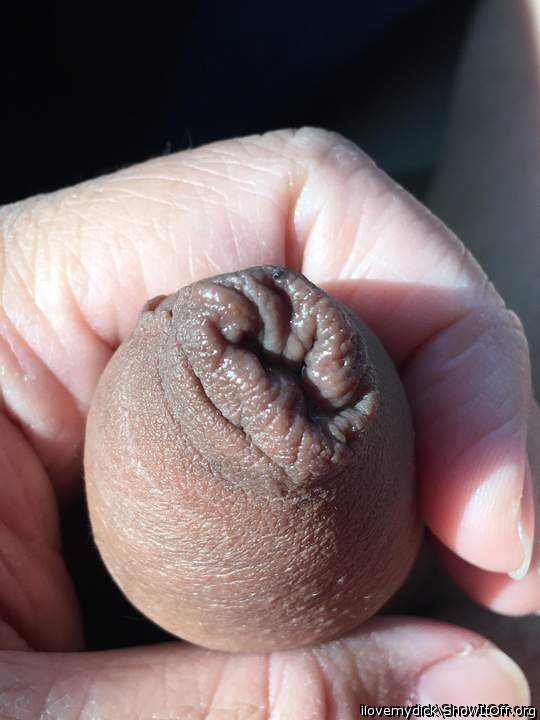 Adult image from ilovemydick