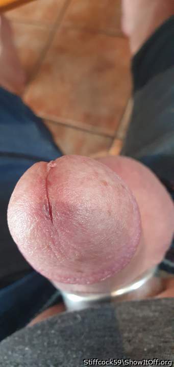 Adult image from Stiffcock59