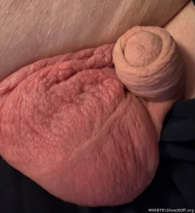 Adult image from M9SBTR