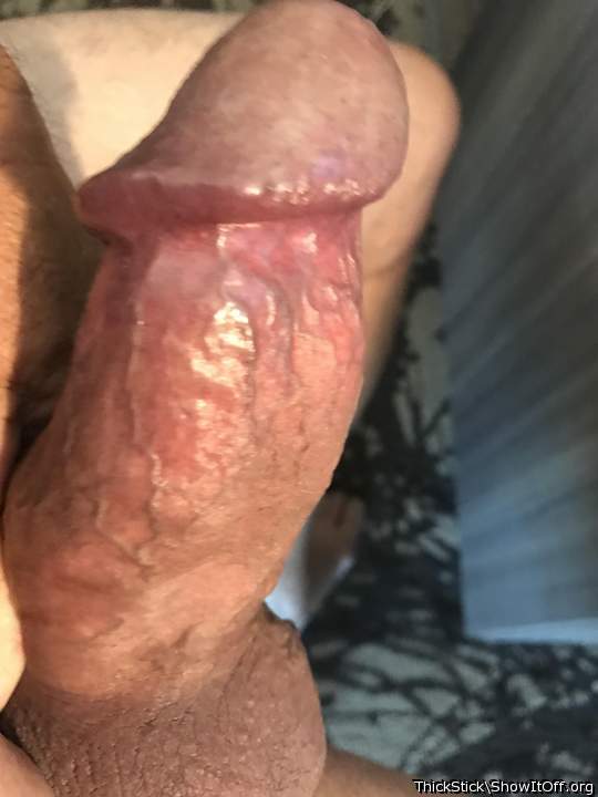 Adult image from ThickStick