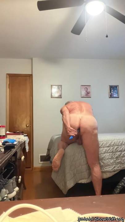 Adult image from jimbobi