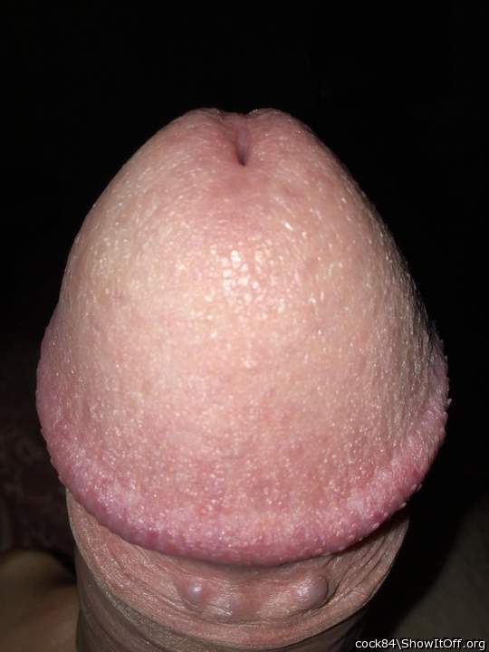 Adult image from Cock84