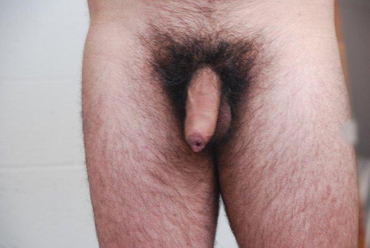 Adult image from chilenito_thno