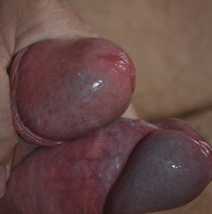 Adult image from conan
