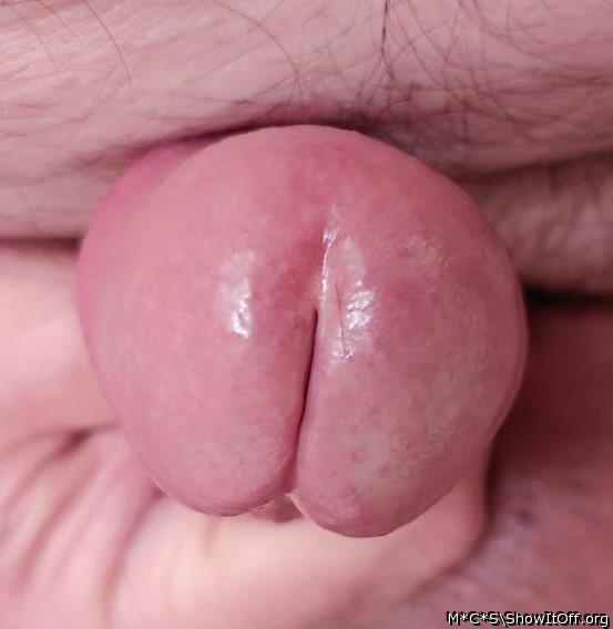 Adult image from M*C*S