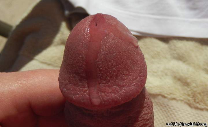 Adult image from dz338