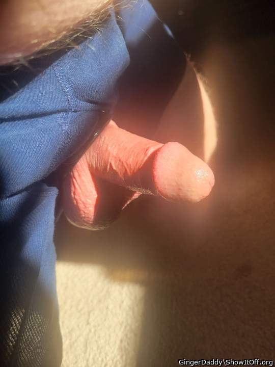 Adult image from GingerDaddy