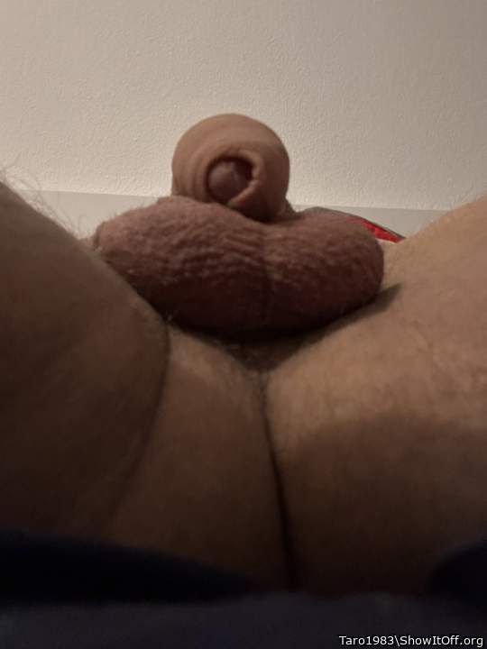 Adult image from Taro1983