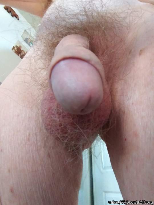 Foreskin