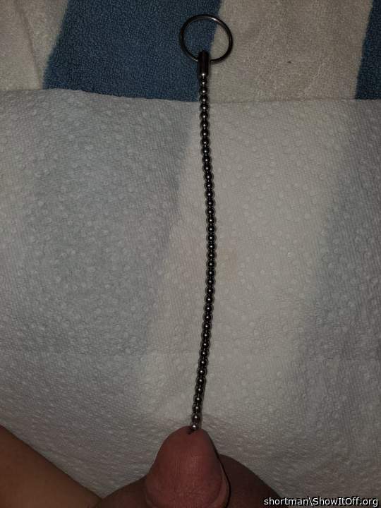 Adult image from shortman