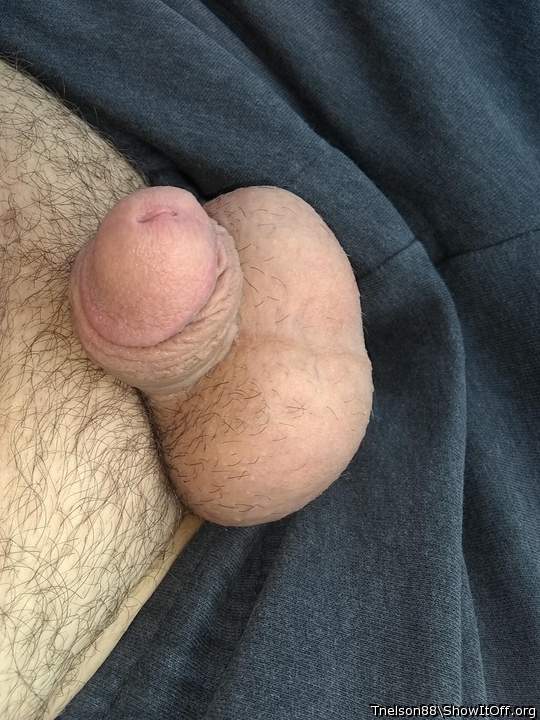 Adult image from Tnelson88
