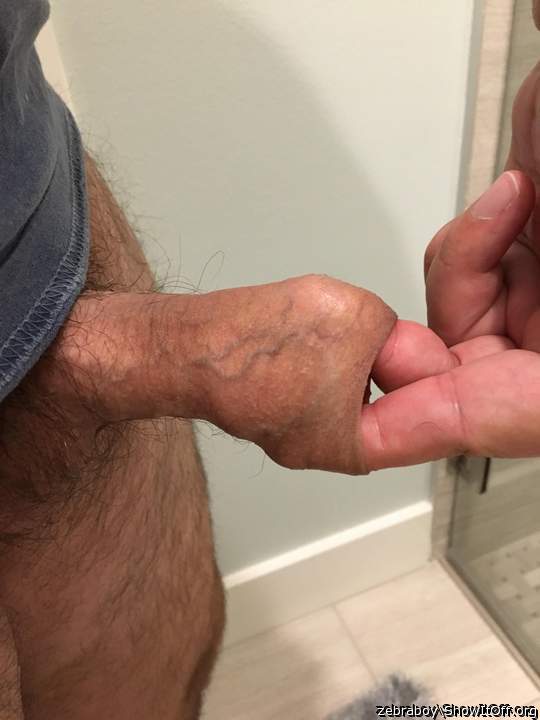 Adult image from zebraboy