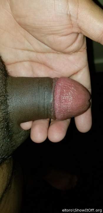 Adult image from eltoro