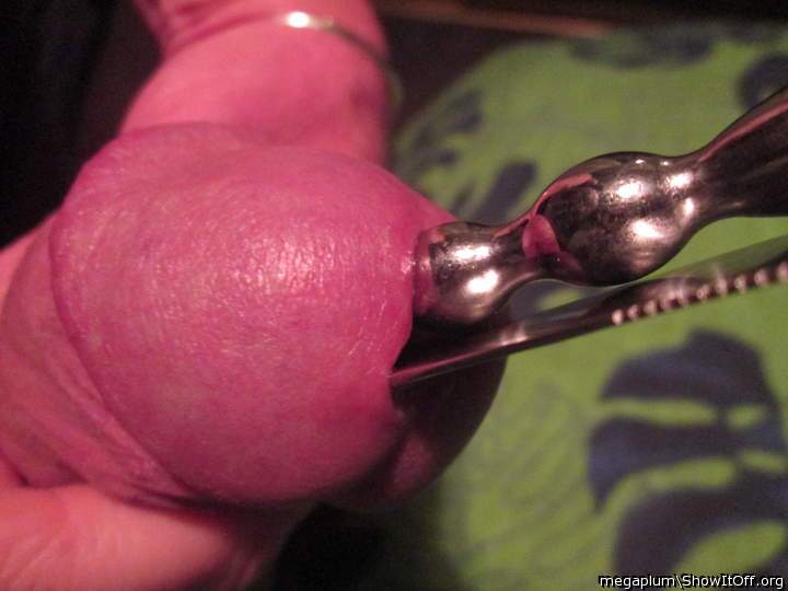 Adult image from megaplum