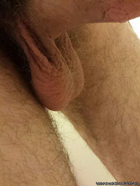 Adult image from bishrekual