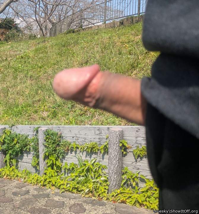Adult image from bluesky