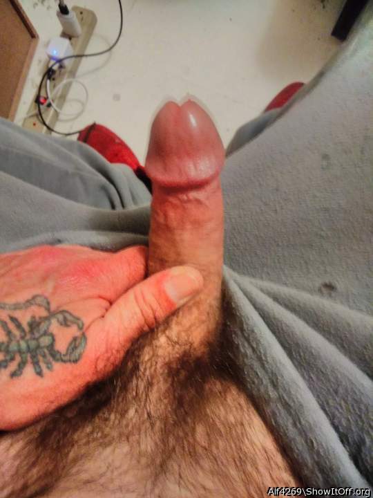 Adult image from Alf4269