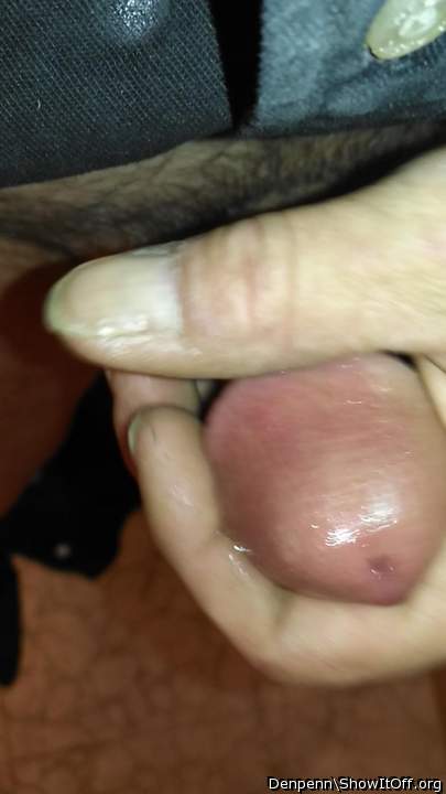 Adult image from Denpenn