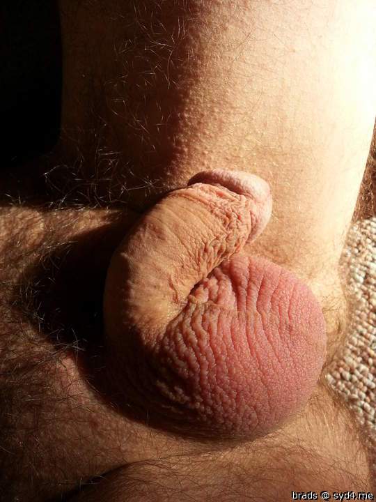 Adult image from brads