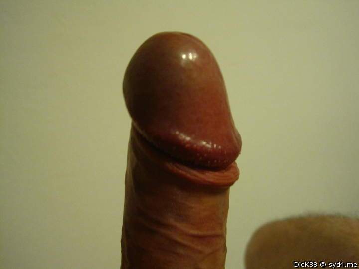 Adult image from Dick88