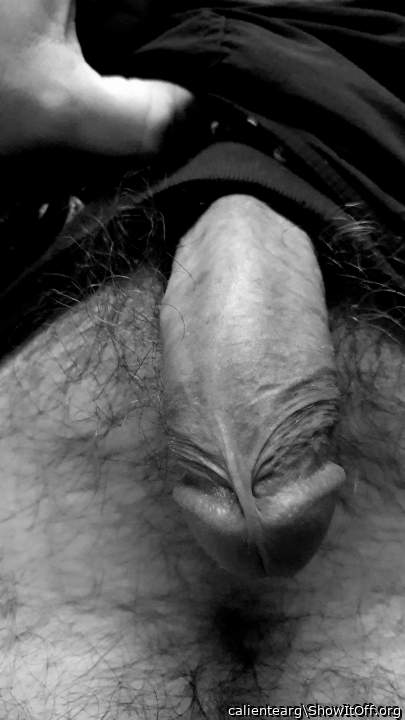 Adult image from calientearg