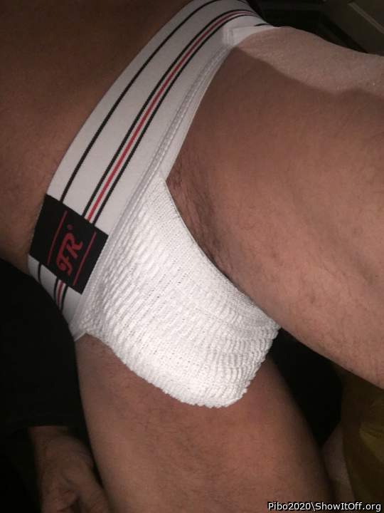 Adult image from Pibo2020