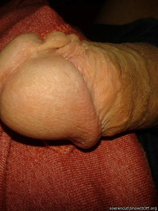 Adult image from Soerencut