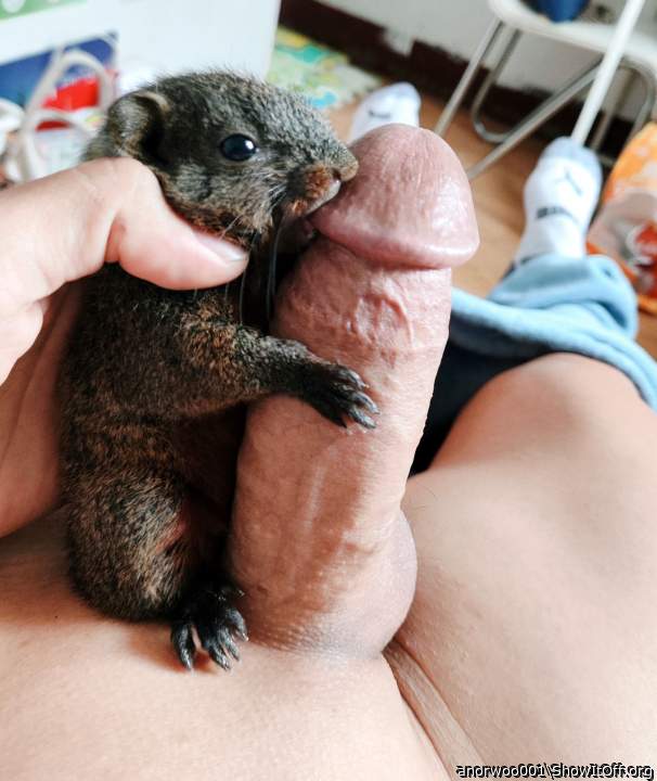 Adult image from anorwoo001