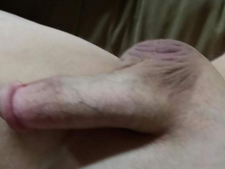Adult image from fish4free