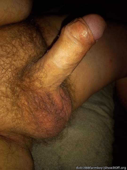 Adult image from Rob1988farmboy