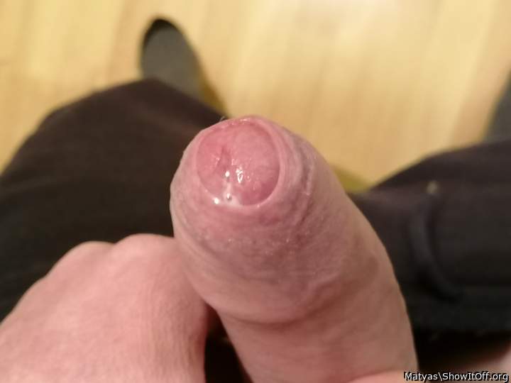 Adult image from Matyas