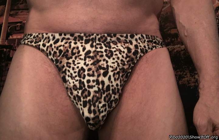 Adult image from Pibo2020