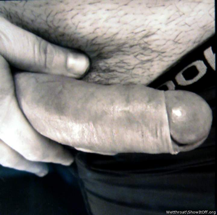 Adult image from Wetthroat