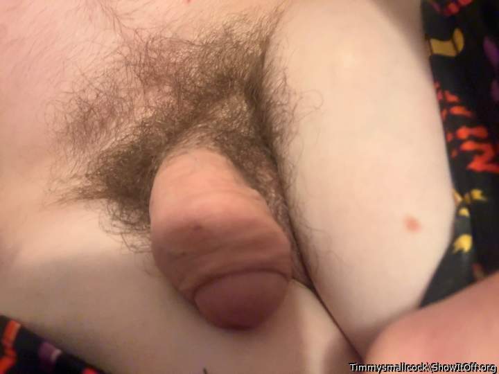 Adult image from Timmysmallcock