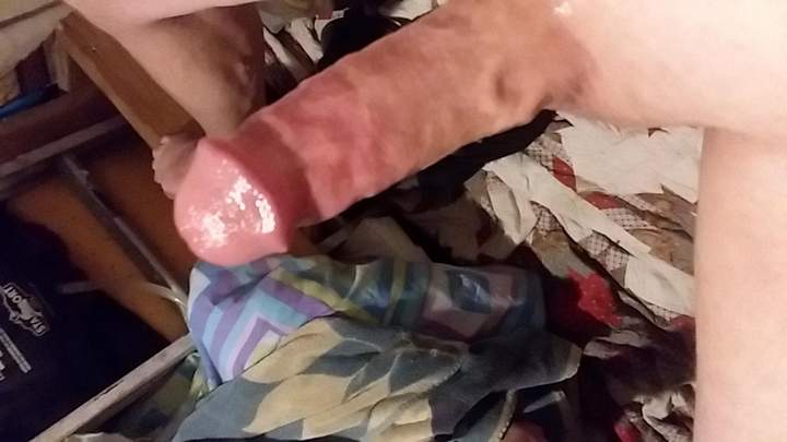 Adult image from fish4free