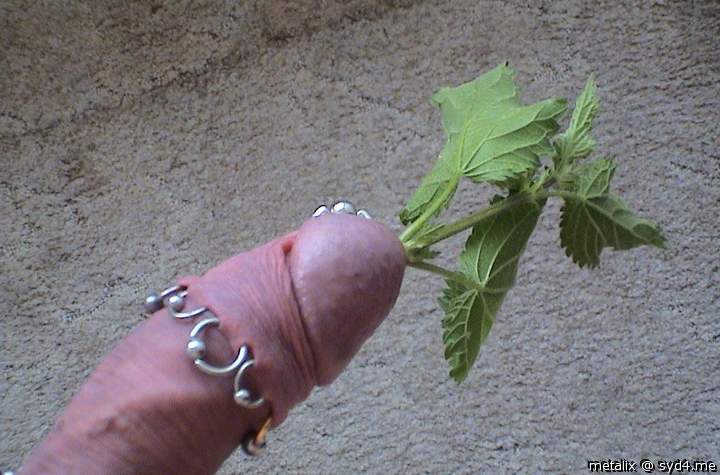 Je ne peux qu\'tre admiratif.