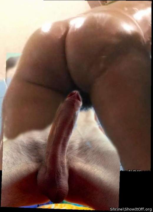 Adult image from Shrine