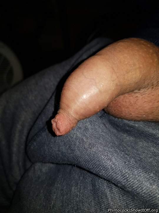 Adult image from Phimocock