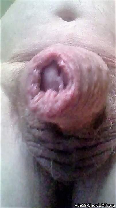 Adult image from Ade59