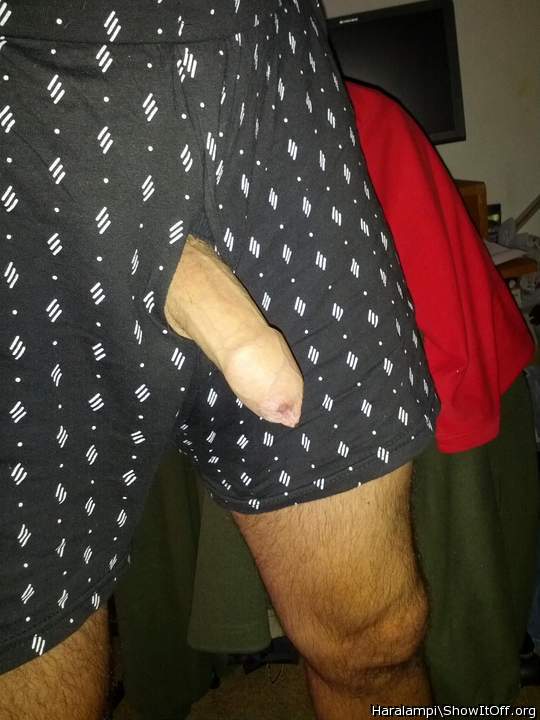 Adult image from Haralampi