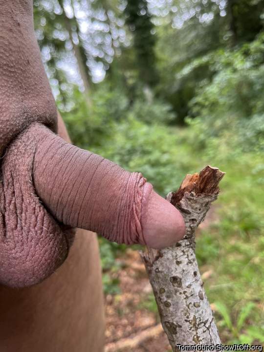Meeting nature