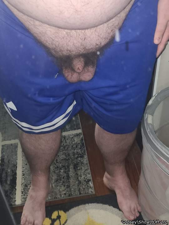 Adult image from Goosey