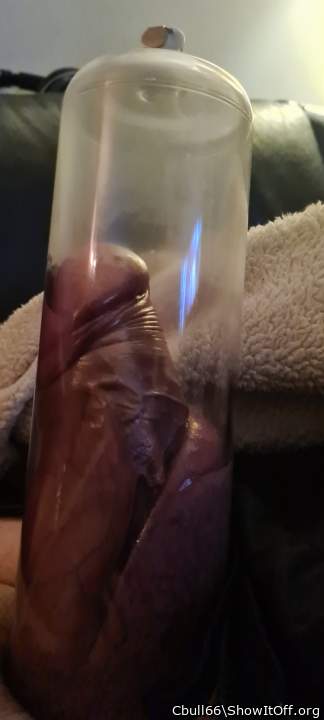 Adult image from Cbull66