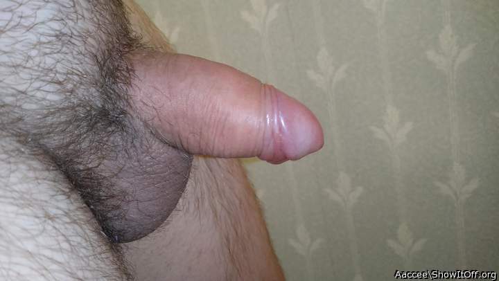 Adult image from Aaccee