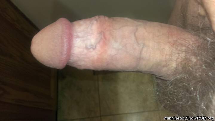 Adult image from minnihead