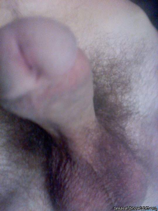 Adult image from texasal