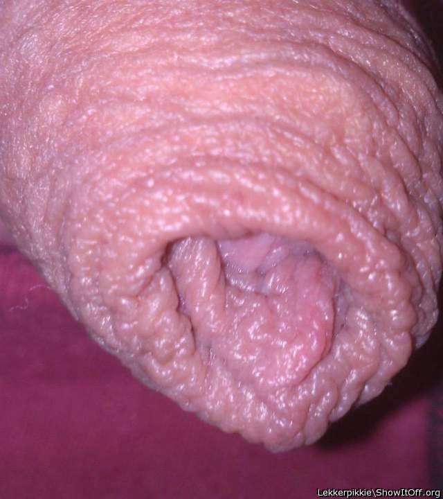Adult image from lekkerpikkie