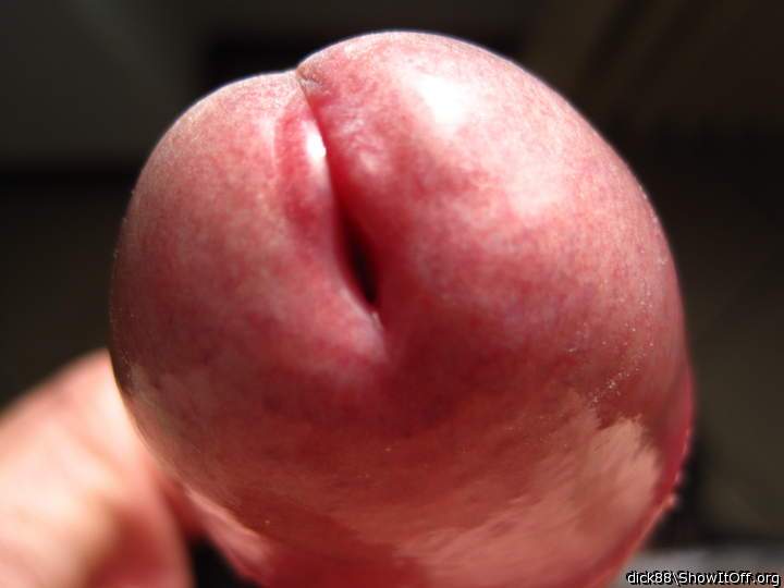 Adult image from Dick88